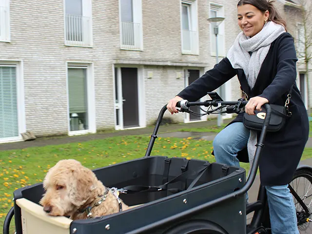 Electric cargo bike for the dog: all the info at a glance
